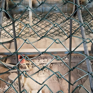 Cerca decorativa revestida de PVC de alta calidad para la cancha de baloncesto de la cerca de la alambrada del jardín