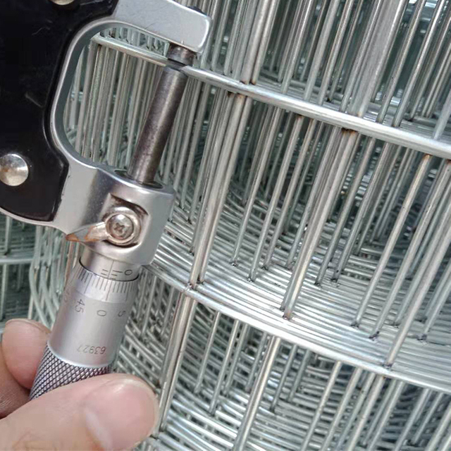 Malla de alambre soldada galvanizada con orificio cuadrado de 1/4 de pulgada