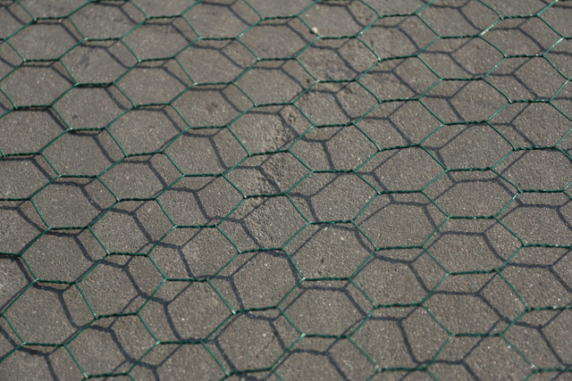 12' x150' 2' malla de alambre hexagonal galvanizada del pollo de la red de las aves de corral